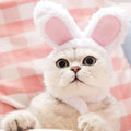 Chapeau mignon pour chat et chaton 🐱🎩