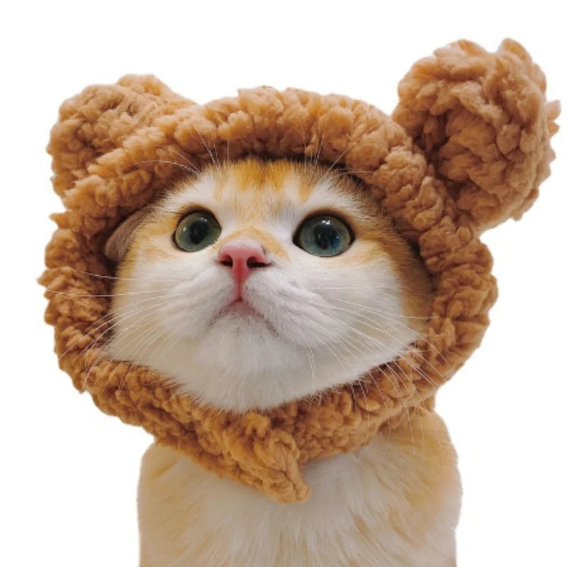 Chapeau mignon pour chat et chaton 🐱🎩