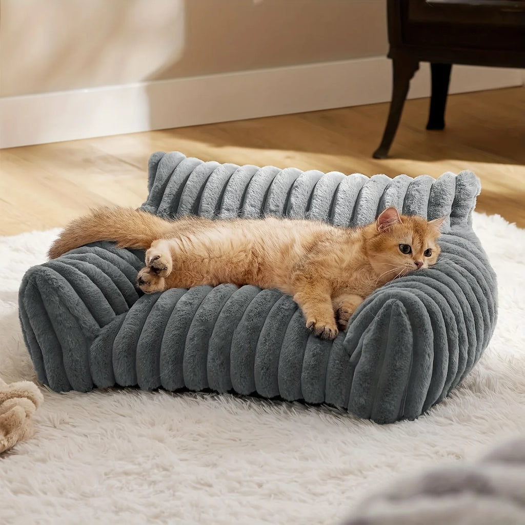 Canapé douillet pour chat et chaton 🐱🛋️