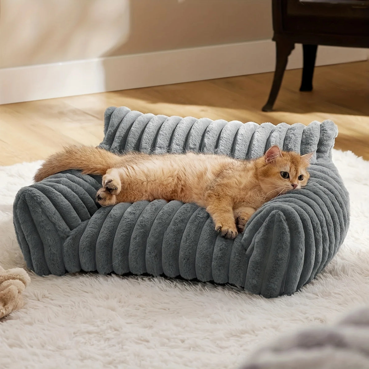 Canapé douillet pour chat et chaton 🐱🛋️