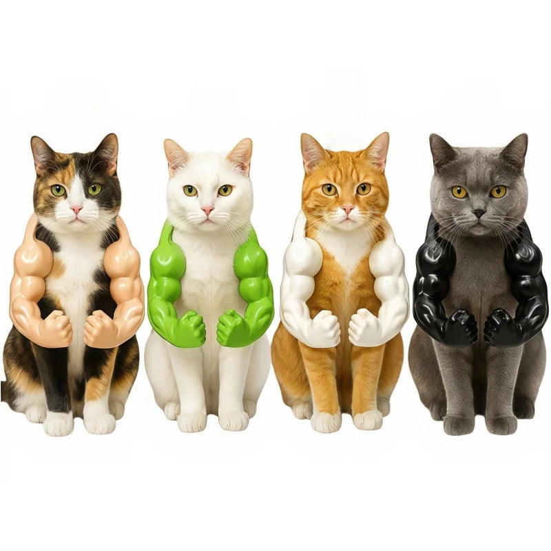 Faux bras musclés pour chat 🐱💪
