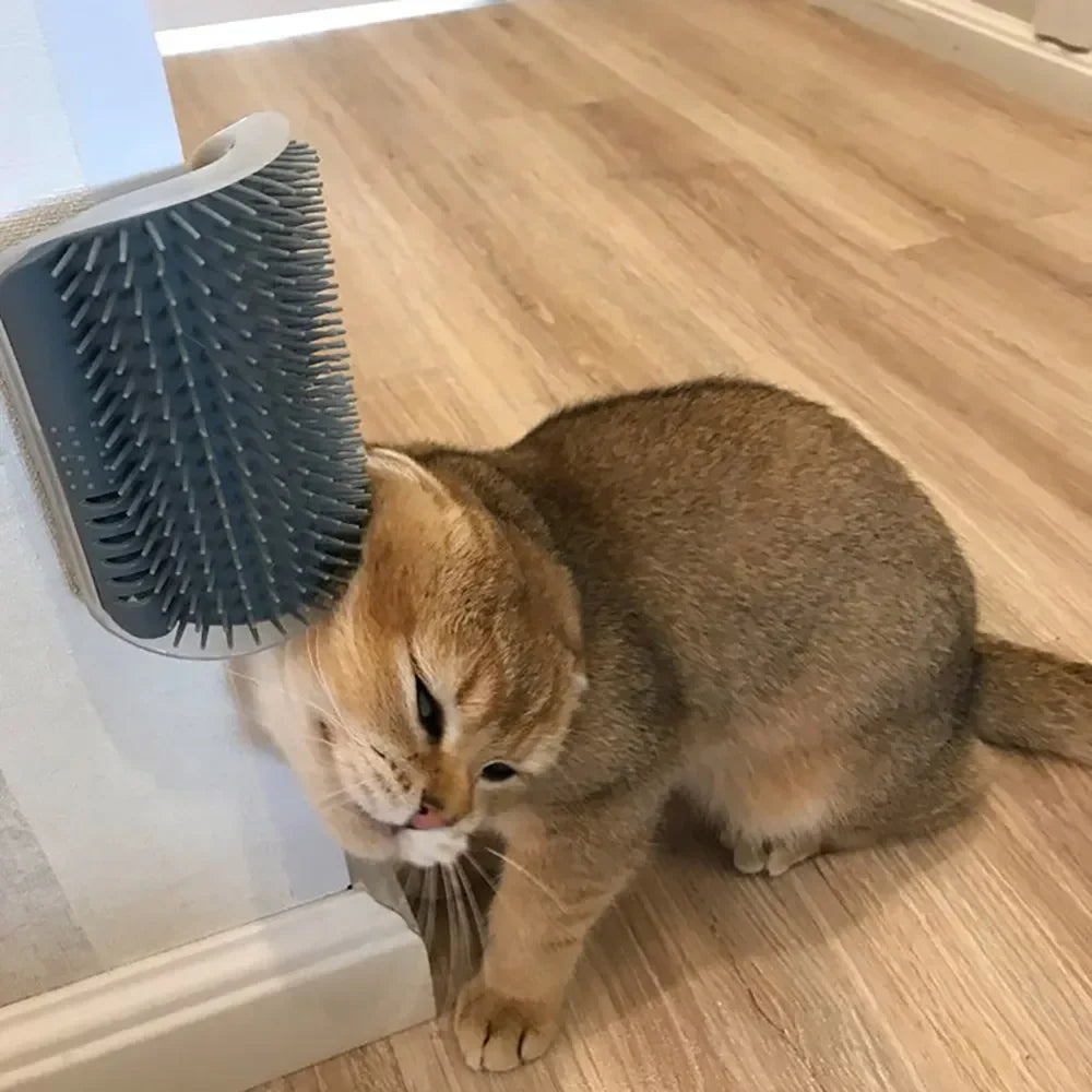Brosse de massage murale pour chat 🐱✨