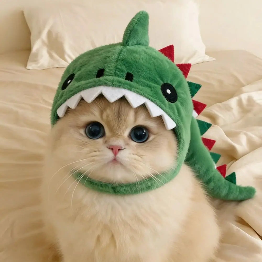 Costume de requin mignon pour chat 🦈🐱