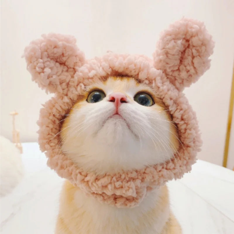 Chapeau mignon pour chat et chaton 🐱🎩
