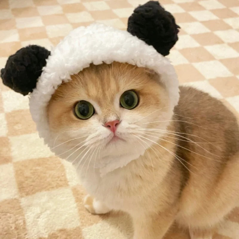 Chapeau mignon pour chat et chaton 🐱🎩