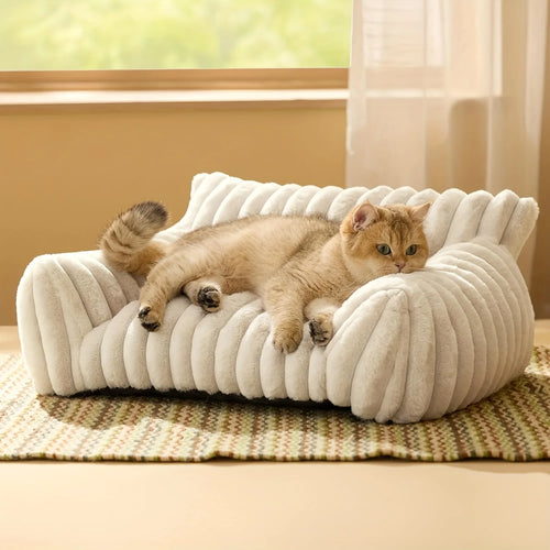 Canapé douillet pour chat et chaton 🐱🛋️
