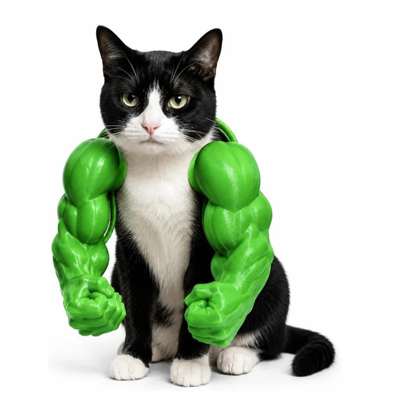 Faux bras musclés pour chat 🐱💪