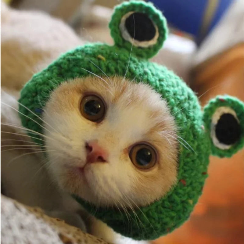 Chapeau mignon pour chat et chaton 🐱🎩