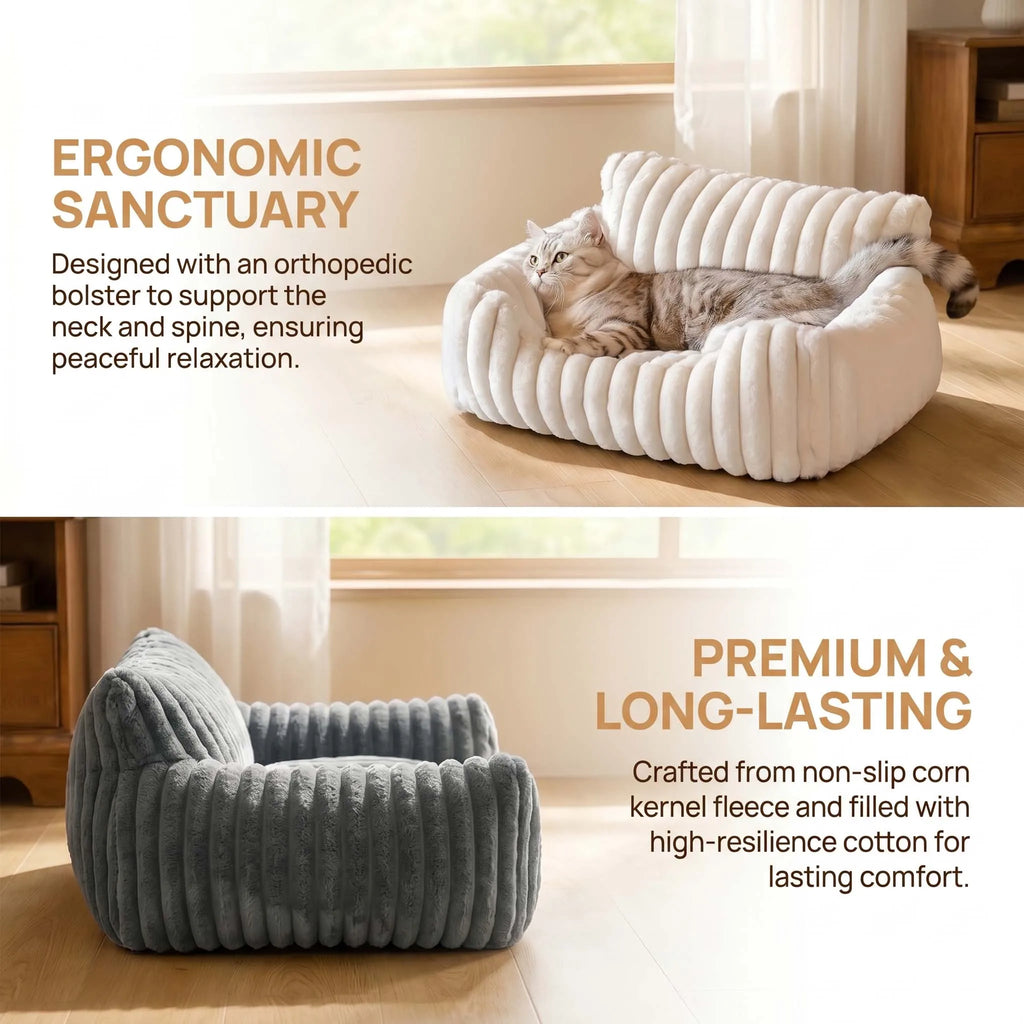 Canapé douillet pour chat et chaton 🐱🛋️