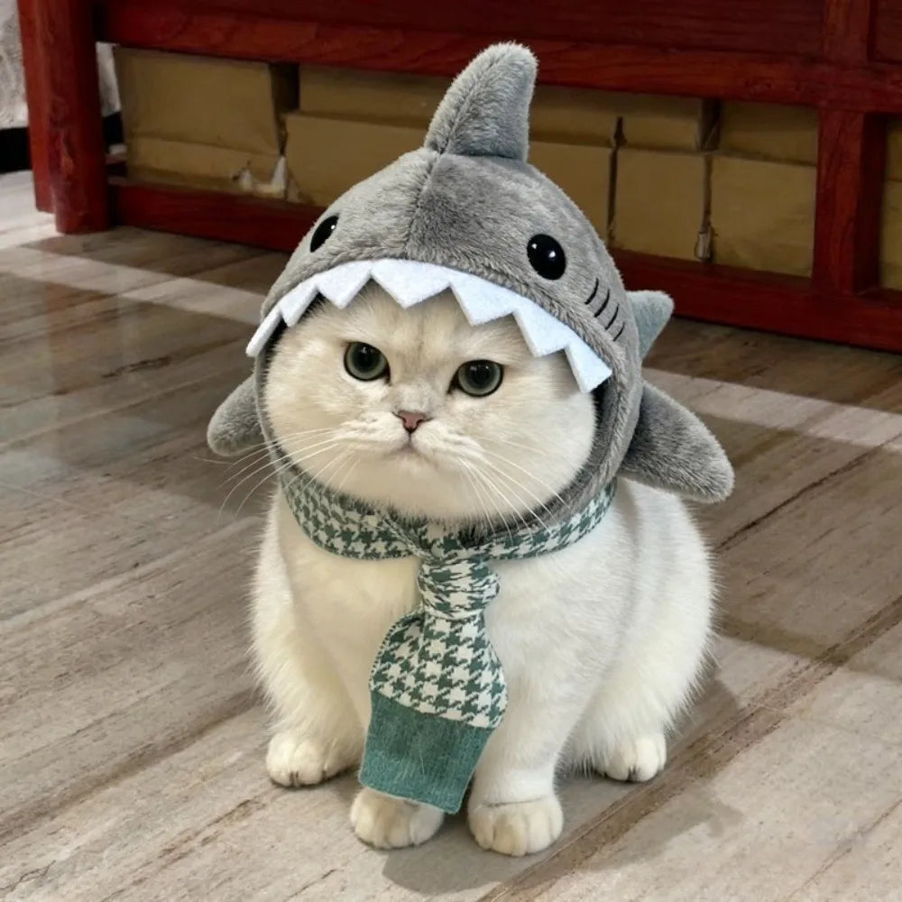 Costume de requin mignon pour chat 🦈🐱