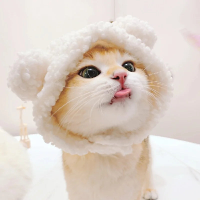 Chapeau mignon pour chat et chaton 🐱🎩