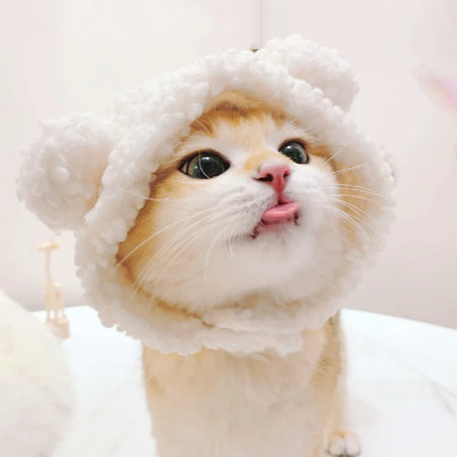 Chapeau mignon pour chat et chaton 🐱🎩
